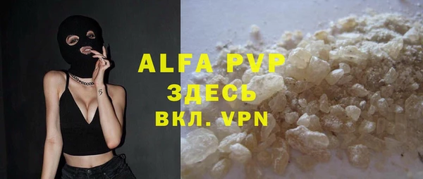 молекула духа Алексин